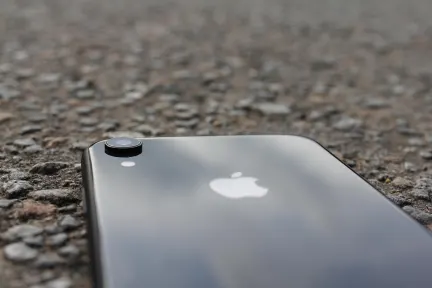 Pelican Casino Mobile App